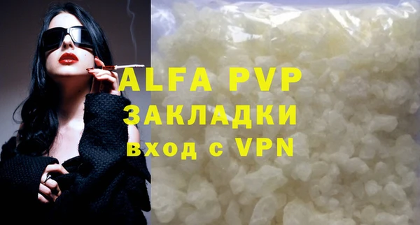 стафф Алексин
