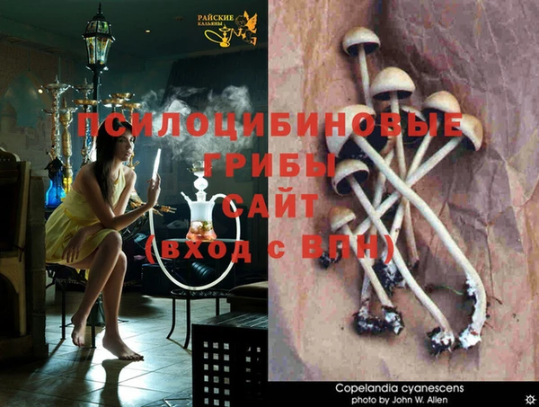стафф Алексин