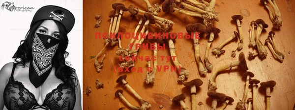 герыч Алзамай