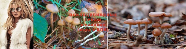 герыч Алзамай