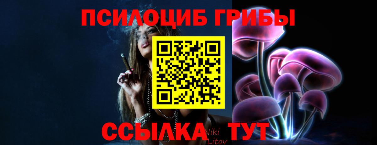 Апрелевка  Псилоцибиновые грибы мухоморы  Вход с VPN  Псилоцибиновые грибы прущие грибы 