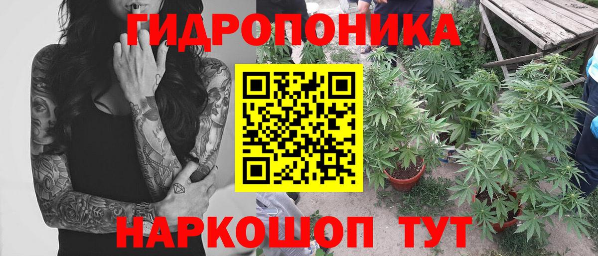 Конопля план Апрелевка